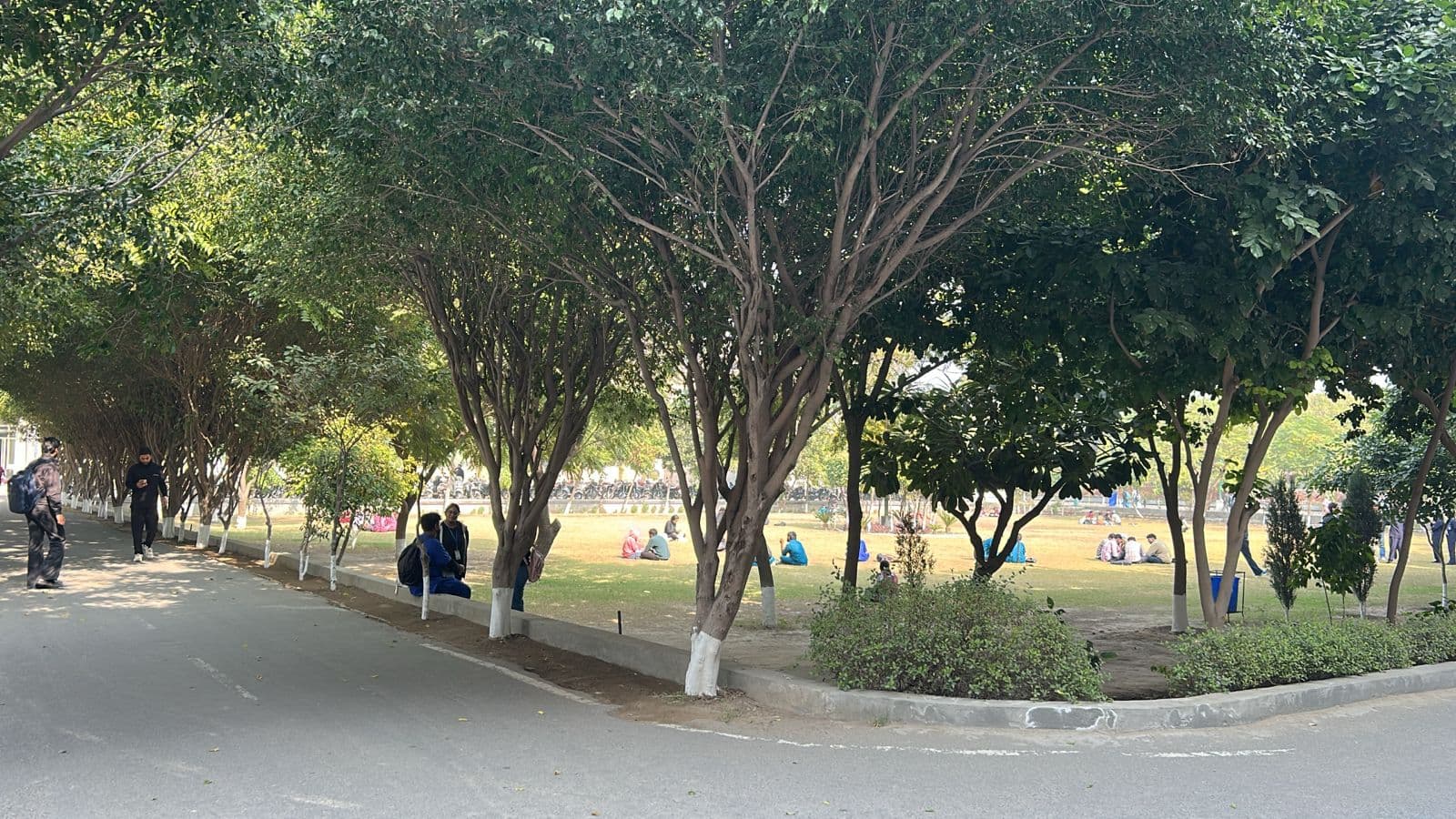 Adesh University Bathinda Campus photo 7